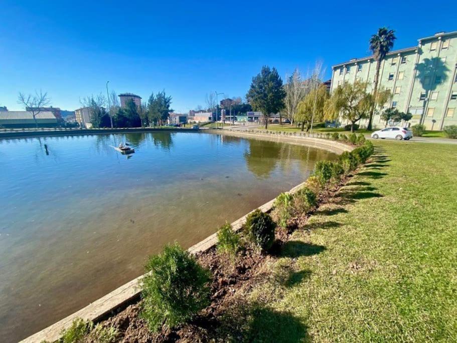 Apartamento Renovado No Centro Da Cidade - Casa4 Коїмбра Екстер'єр фото